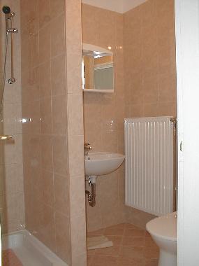 Badezimmer mit Dusch-WC