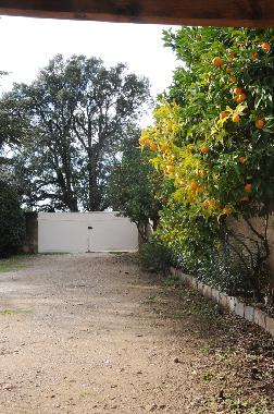 Ferienhaus in Cavaliere (Var) oder Ferienwohnung oder Ferienhaus