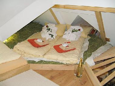 Pension in Bad Berleburg (Siegerland-Wittgenstein) oder Ferienwohnung oder Ferienhaus
