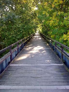Ferienhaus in L�bben (Spreewald) (Dahme-Spreewald) oder Ferienwohnung oder Ferienhaus