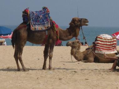 Pension in marina smir  near M