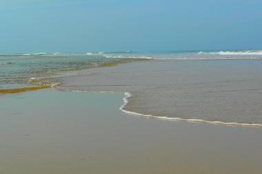 Ferienhaus in Cap-Ferret (Gironde) oder Ferienwohnung oder Ferienhaus
