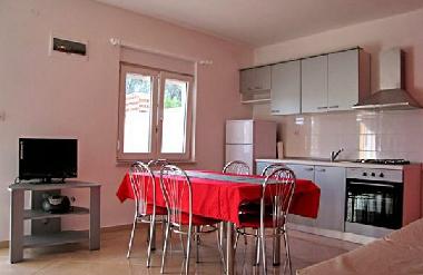Ferienhaus in Novigrad (Zadarska) oder Ferienwohnung oder Ferienhaus