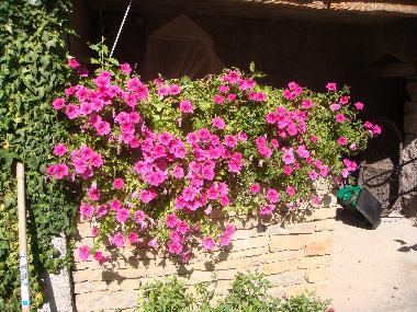 Ferienhaus in Arcenant (C�te-d