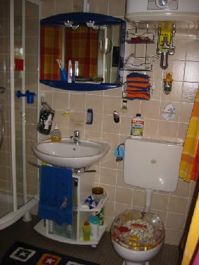 Ferienhaus in holving (Moselle) oder Ferienwohnung oder Ferienhaus