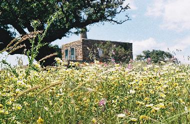Ferienhaus in Kea (Kyklades) oder Ferienwohnung oder Ferienhaus