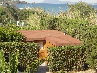 Ferienhaus in HYERES (Var) oder Ferienwohnung oder Ferienhaus
