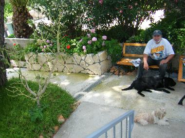 Hunde sind gern gesehene Gste.