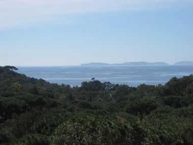 Ferienhaus in La Croix-Valmer/ Gigaro (Var) oder Ferienwohnung oder Ferienhaus