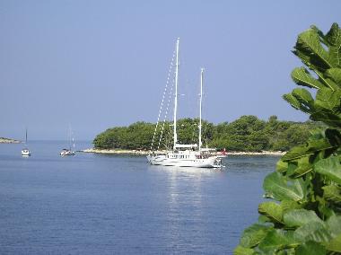 Ferienwohnung in Maslinica, Island of Solta (Splitsko-Dalmatinska) oder Ferienwohnung oder Ferienhaus