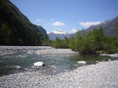 Maggia 
