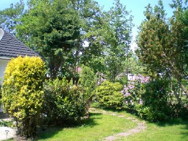 Ferienhaus in Julianadorp (Noord-Holland) oder Ferienwohnung oder Ferienhaus