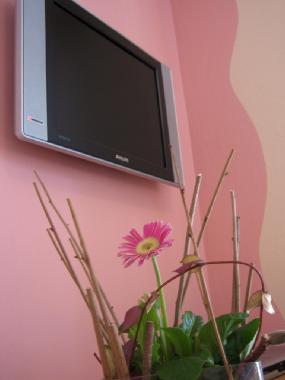 Ferienwohnung in Tolmin (Tolmin) oder Ferienwohnung oder Ferienhaus