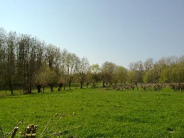 Ferienhaus in Between Deventer Apeldoorn (Gelderland) oder Ferienwohnung oder Ferienhaus