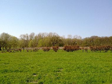 Ferienhaus in Between Deventer Apeldoorn (Gelderland) oder Ferienwohnung oder Ferienhaus
