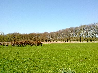 Ferienhaus in Between Deventer Apeldoorn (Gelderland) oder Ferienwohnung oder Ferienhaus