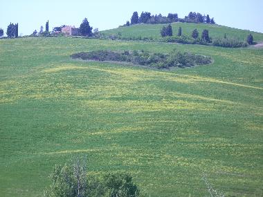 Ferienwohnung in pienza monticchiello (Siena) oder Ferienwohnung oder Ferienhaus