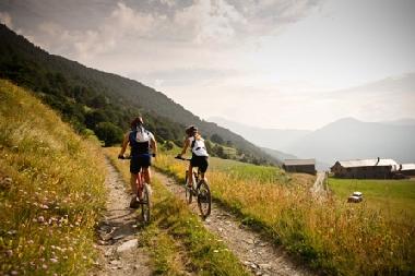 Ferienwohnung in La Massana (La Massana) oder Ferienwohnung oder Ferienhaus