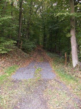 Waldweg direkt ab Ferienhaus