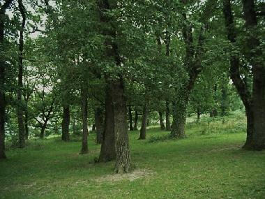 Ferienhaus in Belleserre (Tarn) oder Ferienwohnung oder Ferienhaus