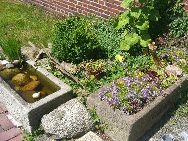 Boot in Leerhafe (Nordsee-Festland / Ostfriesland) oder Ferienwohnung oder Ferienhaus