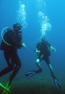 Ferienwohnung in SARONIDA (Attiki) oder Ferienwohnung oder Ferienhaus