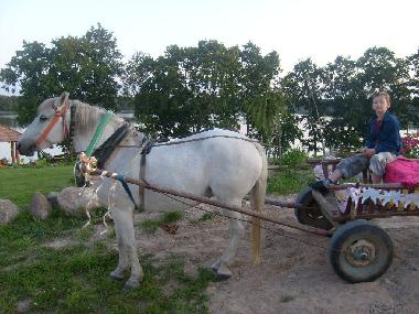 Ferienhaus in Linkmenys (Utenos Apskritis) oder Ferienwohnung oder Ferienhaus