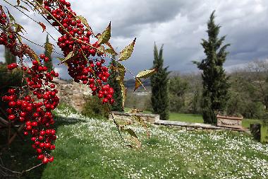 Ferienhaus in San Pancrazio (Firenze) oder Ferienwohnung oder Ferienhaus