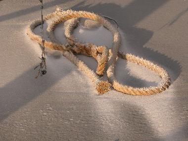 Strandimpression "Seil"