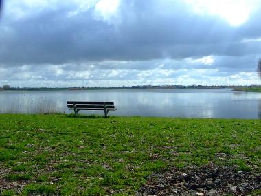 Surfsee in Dirkshorn