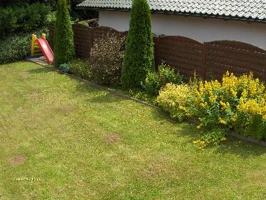 Ferienhaus in Zorge (Harz) oder Ferienwohnung oder Ferienhaus