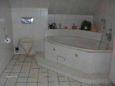 Ferienhaus in Zorge (Harz) oder Ferienwohnung oder Ferienhaus
