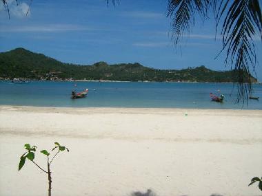 Ferienhaus in ko Phangan (Surat Thani) oder Ferienwohnung oder Ferienhaus