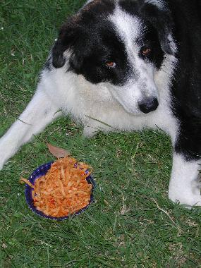 Ferienwohnung in San Pancrazio (Firenze) oder Ferienwohnung oder Ferienhaus
