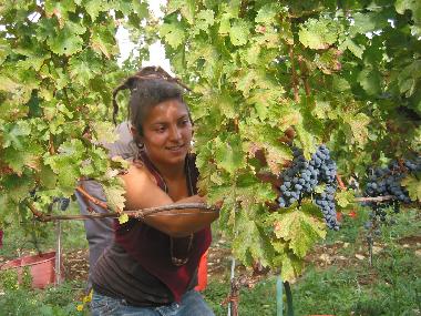 Ferienwohnung in San Pancrazio  (Firenze) oder Ferienwohnung oder Ferienhaus