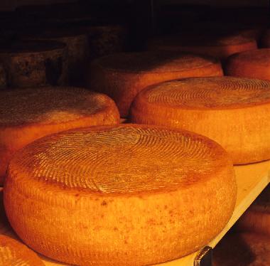 Ferienwohnung in San Pancrazio  (Firenze) oder Ferienwohnung oder Ferienhaus