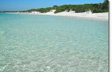 Ferienwohnung in Alghero (Sassari) oder Ferienwohnung oder Ferienhaus