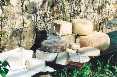 Ferienwohnung in San Pancrazio  (Firenze) oder Ferienwohnung oder Ferienhaus