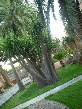 Ferienhaus in Carini (Palermo) oder Ferienwohnung oder Ferienhaus