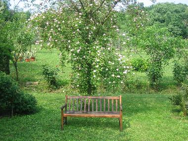 Ferienwohnung in arqu petrarca (Padova) oder Ferienwohnung oder Ferienhaus