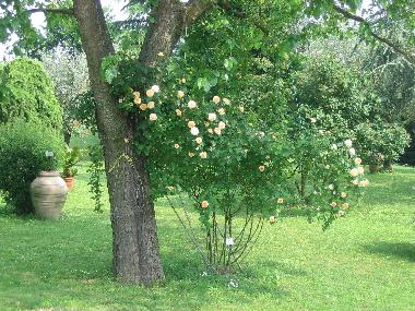 Ferienwohnung in arqu petrarca (Padova) oder Ferienwohnung oder Ferienhaus