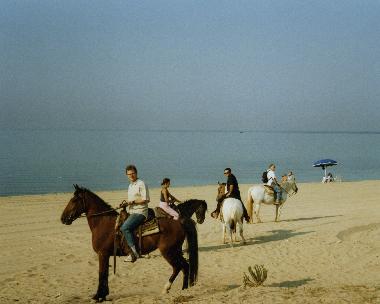 Ferienhaus in Maruggio (Taranto) oder Ferienwohnung oder Ferienhaus