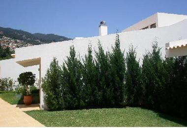 Pension in Funchal (Madeira) oder Ferienwohnung oder Ferienhaus