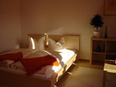 Ferienwohnung in Dresden (Schsisches Elbland) oder Ferienwohnung oder Ferienhaus