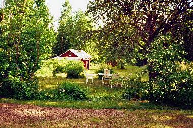 Blick vom Haus auf das Grundst�ck