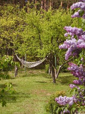 Ferienhaus in Pobłocie (Pomorskie) oder Ferienwohnung oder Ferienhaus