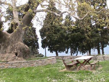 Ferienhaus in Ambelakia (Larisa) oder Ferienwohnung oder Ferienhaus