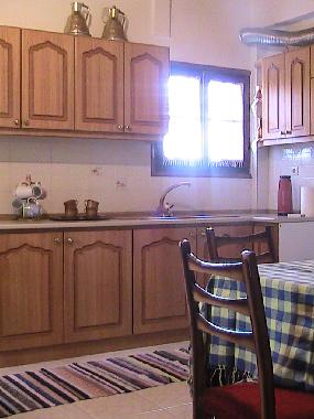 Ferienhaus in Ambelakia (Larisa) oder Ferienwohnung oder Ferienhaus