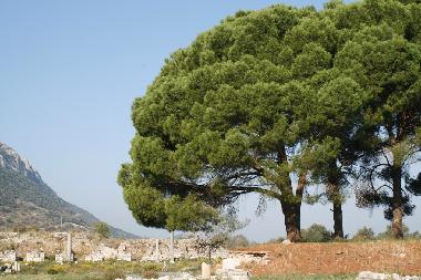 Ephesus