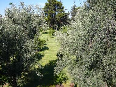 Ferienhaus in Marrakech (Marrakech) oder Ferienwohnung oder Ferienhaus